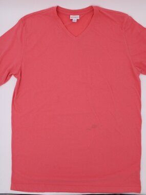 Womens Pink Vneck Tee (L)